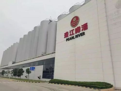 南沙崛起 廣州下一個琶醍，商務(wù)信息咨詢新機遇